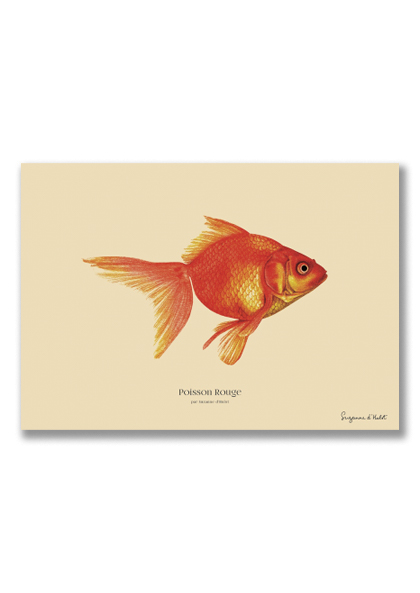 sp-44-10 Poisson Rouge_A5