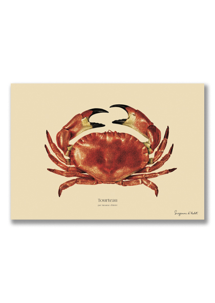 sp-44-11 Tourteau_A5