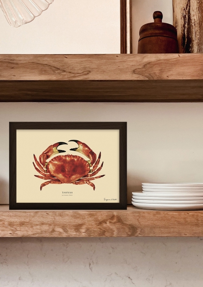 sp-44-11 Tourteau_A5